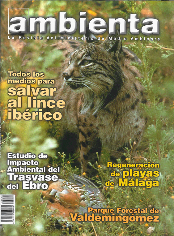 Portada revista 