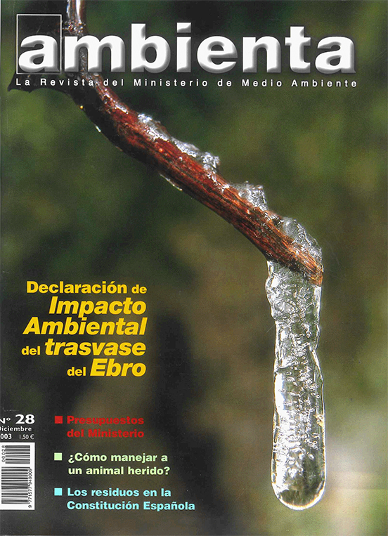Portada revista 