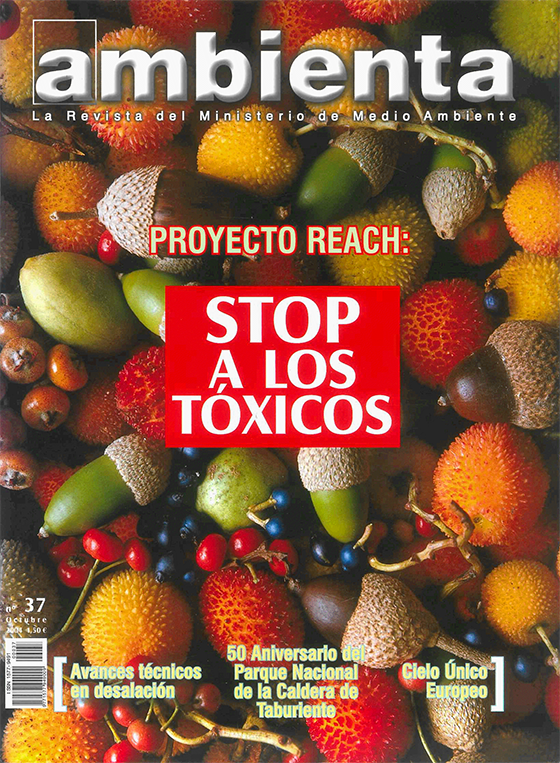 Portada revista 