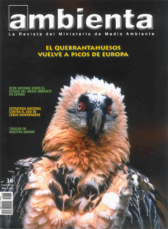 Portada revista 