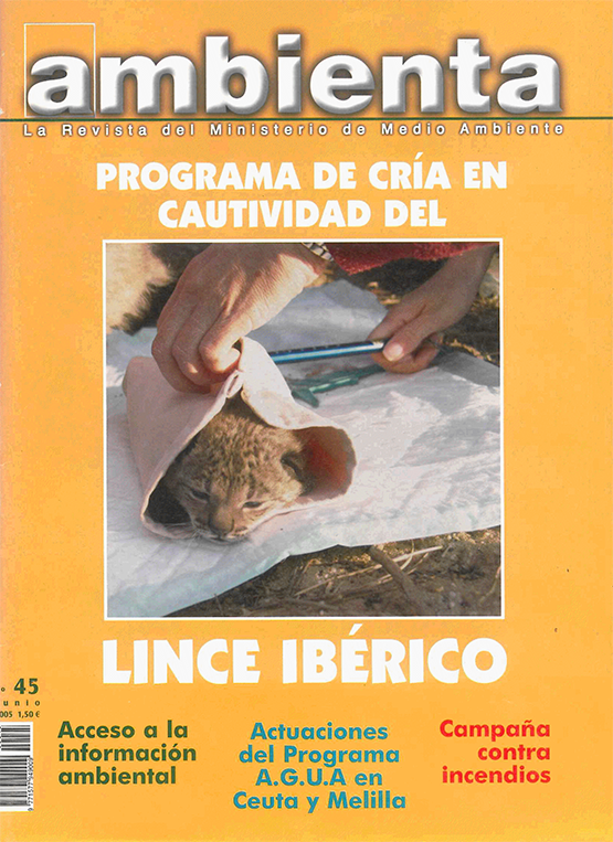 Portada revista 