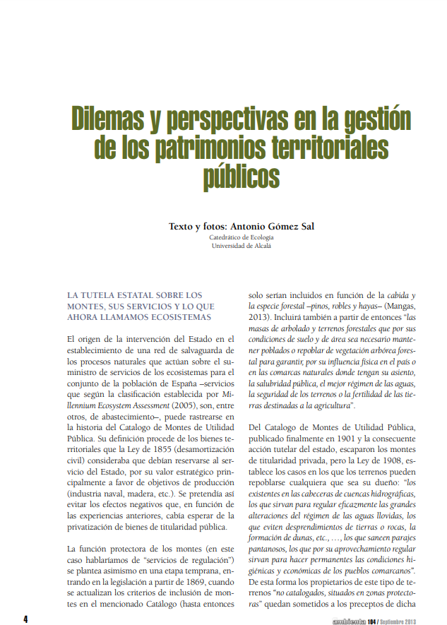 Dilemas y perspectivas