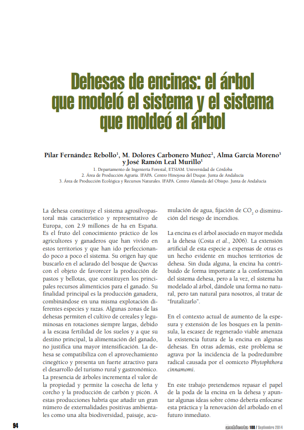 Dehesas de encinas
