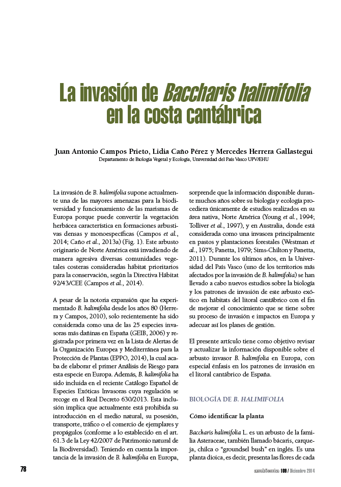 La invasión de Baccharis halimifolia en la costa cantábrica
