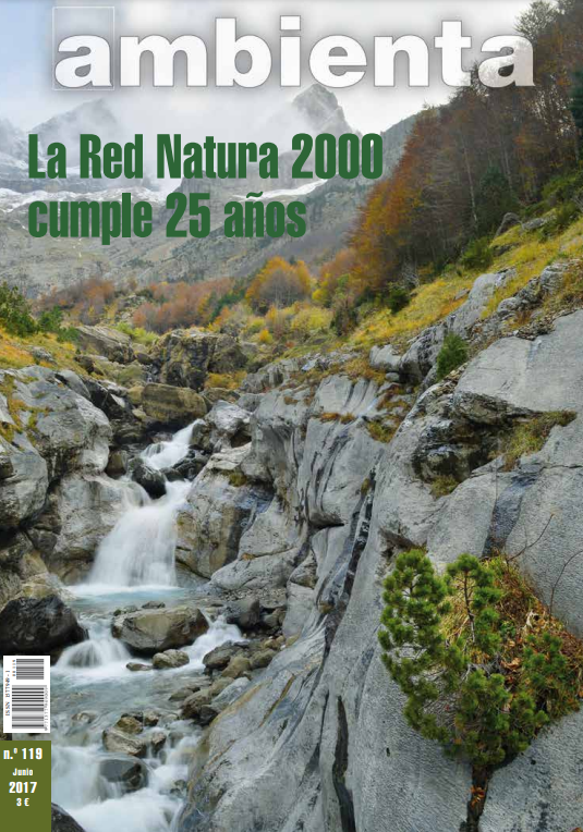 Revista Ambienta 119