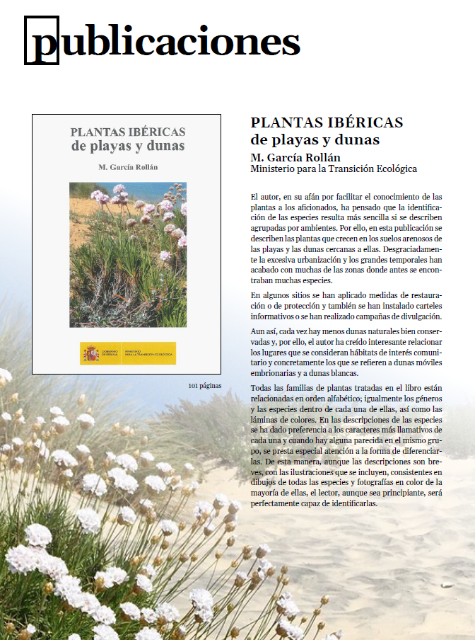 En peligro: las abejas