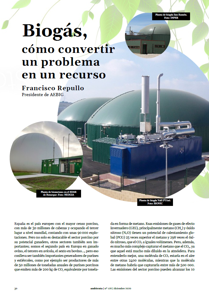 Biogás, cómo convertir un problema en un recurso