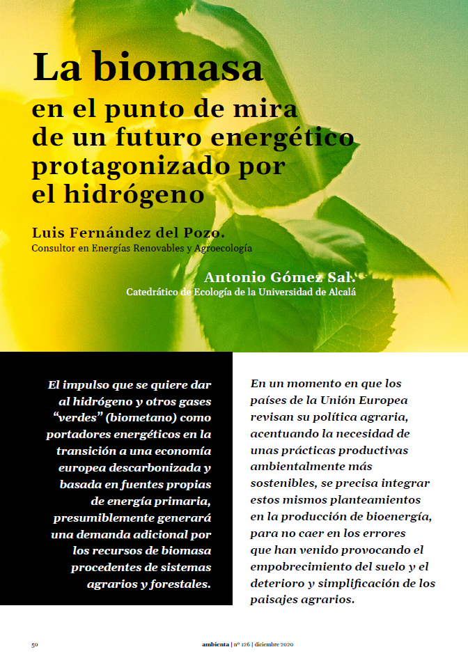 La biomasa en el punto de mira de un futuro energético protagonizado por el hidrógeno