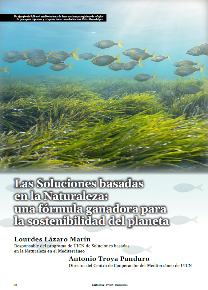 Las Soluciones basadas en la Naturaleza: una fórmula ganadora para la sostenibilidad del planeta