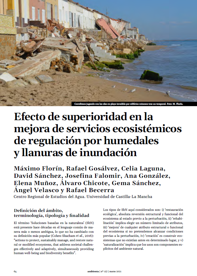 Efecto de superioridad en la mejora de servicios ecosistémicos de regulación por humedales y llanuras de inundación