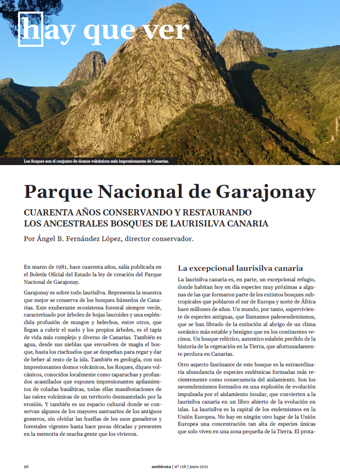 Hay que ver. Parque Nacional de Garajonay
