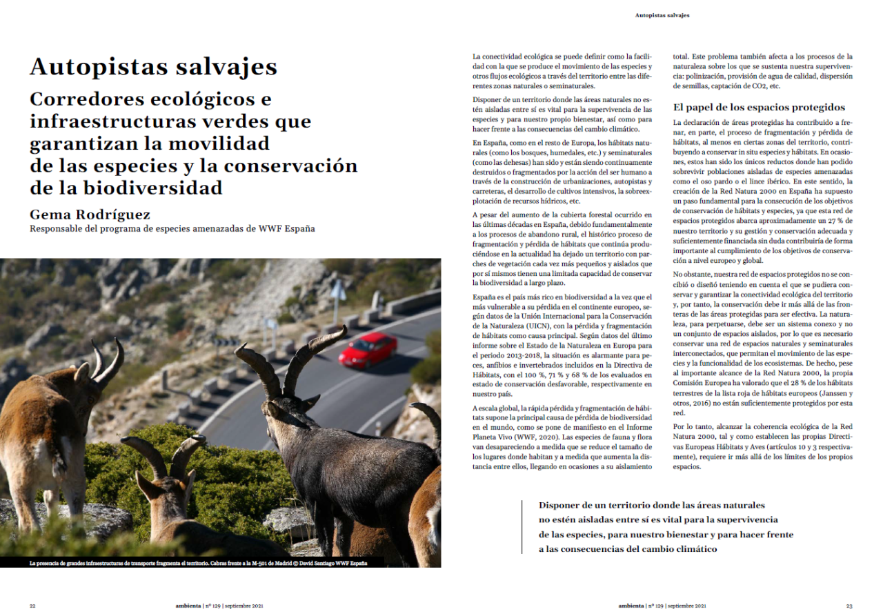 Autopistas salvajes