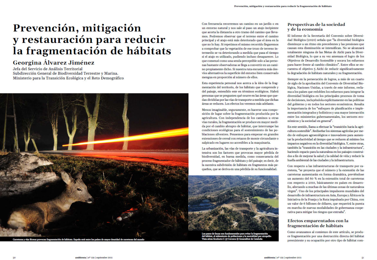 Consecuencias de la fragmentación de hábitats para la biodiversidad