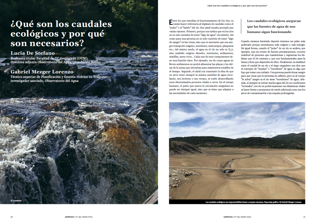 ¿Qué son los caudales ecológicos y por qué son necesarios? 