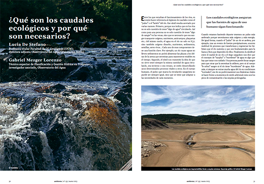 ¿Qué son los caudales ecológicos y por qué son necesarios? 