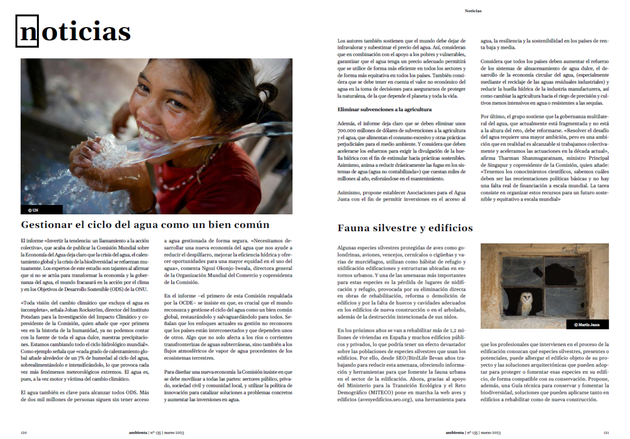 Noticias 