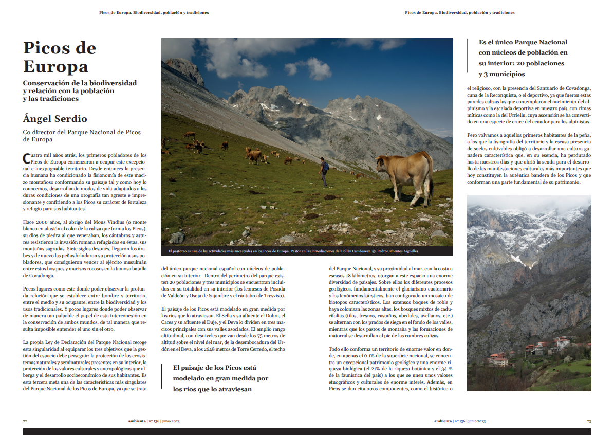Picos de Europa 