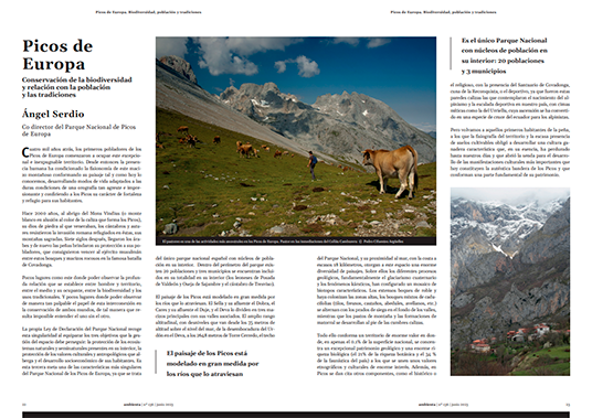 Picos de Europa 
