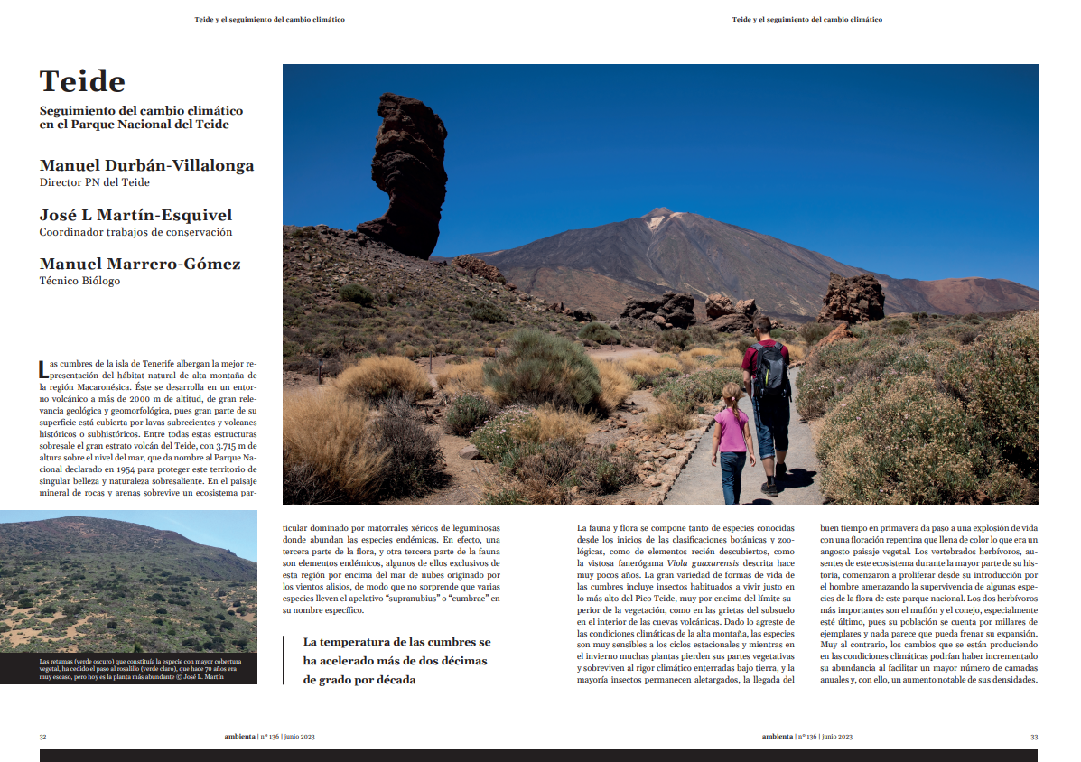 Teide