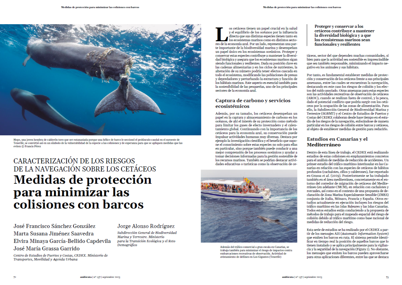 Medidas de protección para minimizar las colisiones con barcos