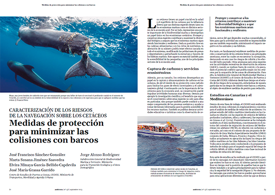 Medidas de protección para minimizar las colisiones con barcos