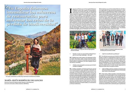 Entrevista