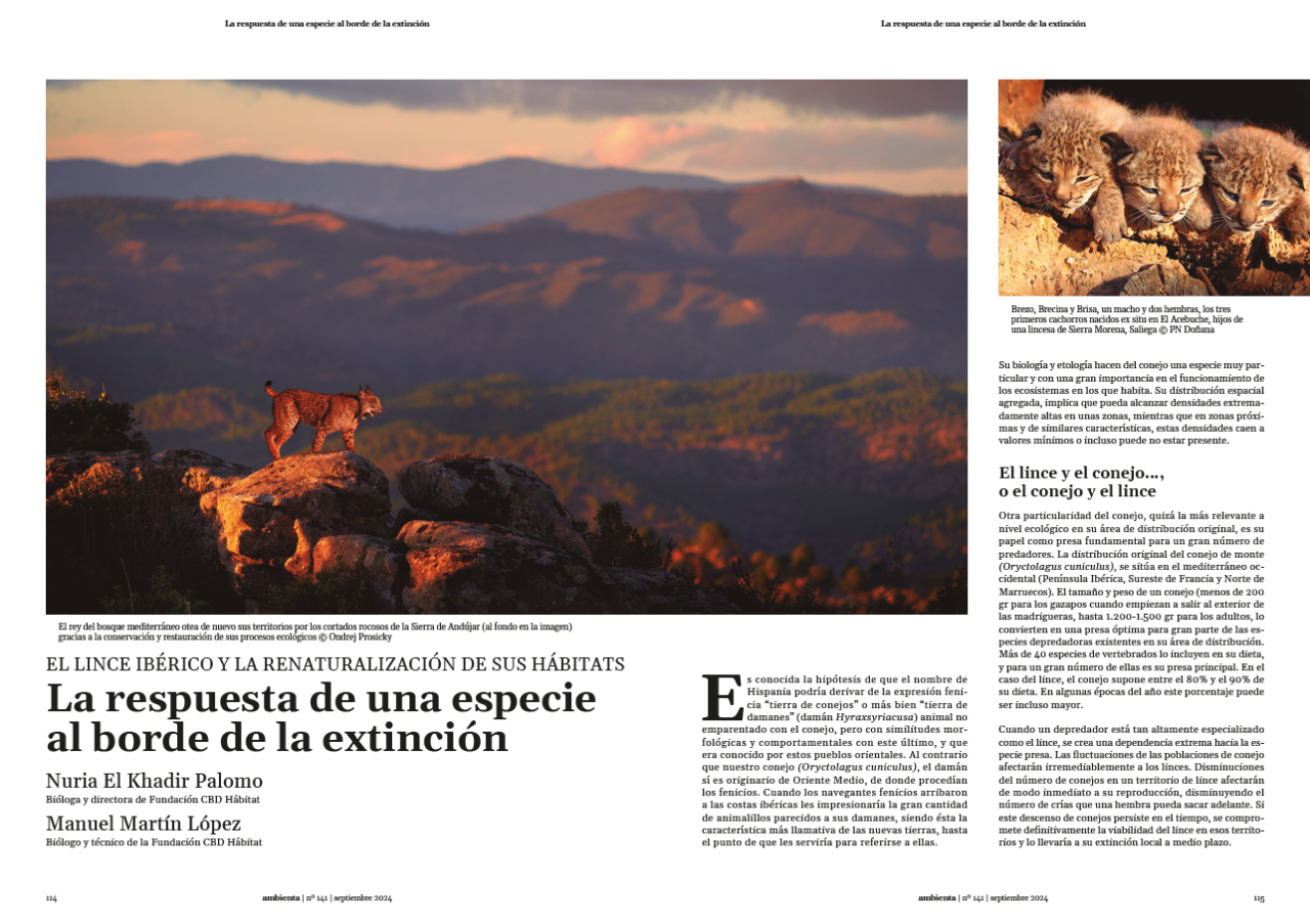 Bore de la extinción