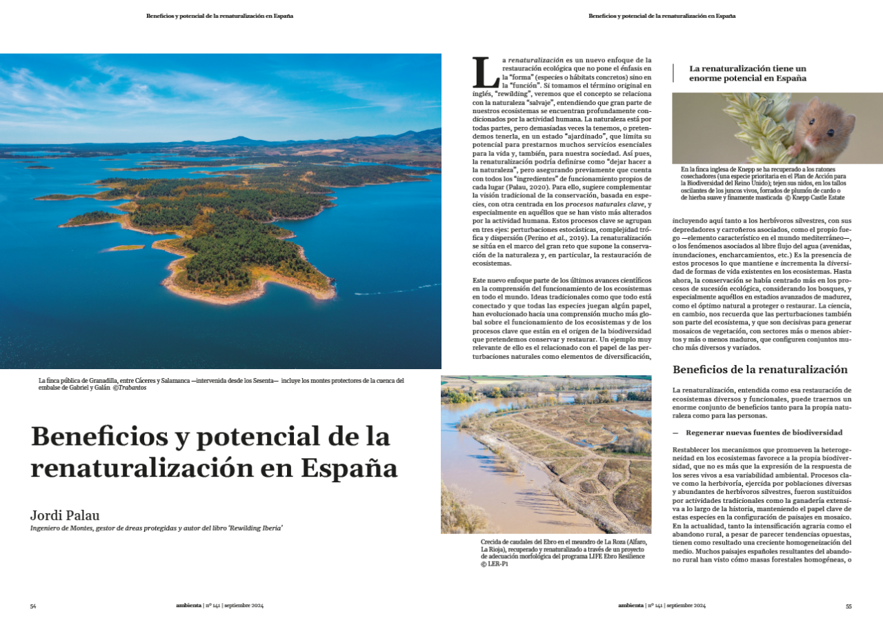 Renaturalización en España
