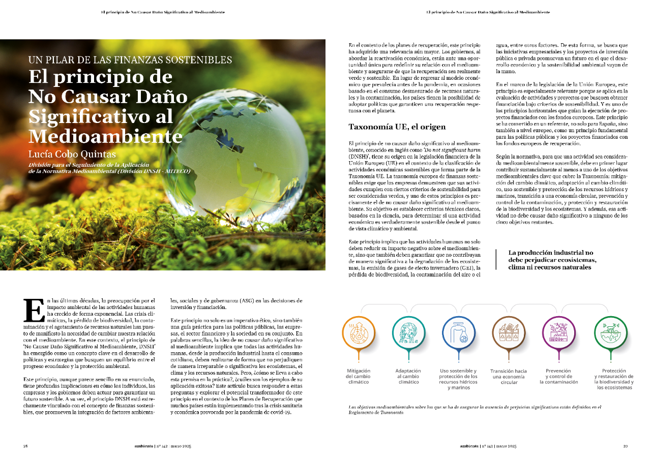 El principio de No Causar Daño Significativo al Medioambiente