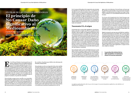 El principio de No Causar Daño Significativo al Medioambiente